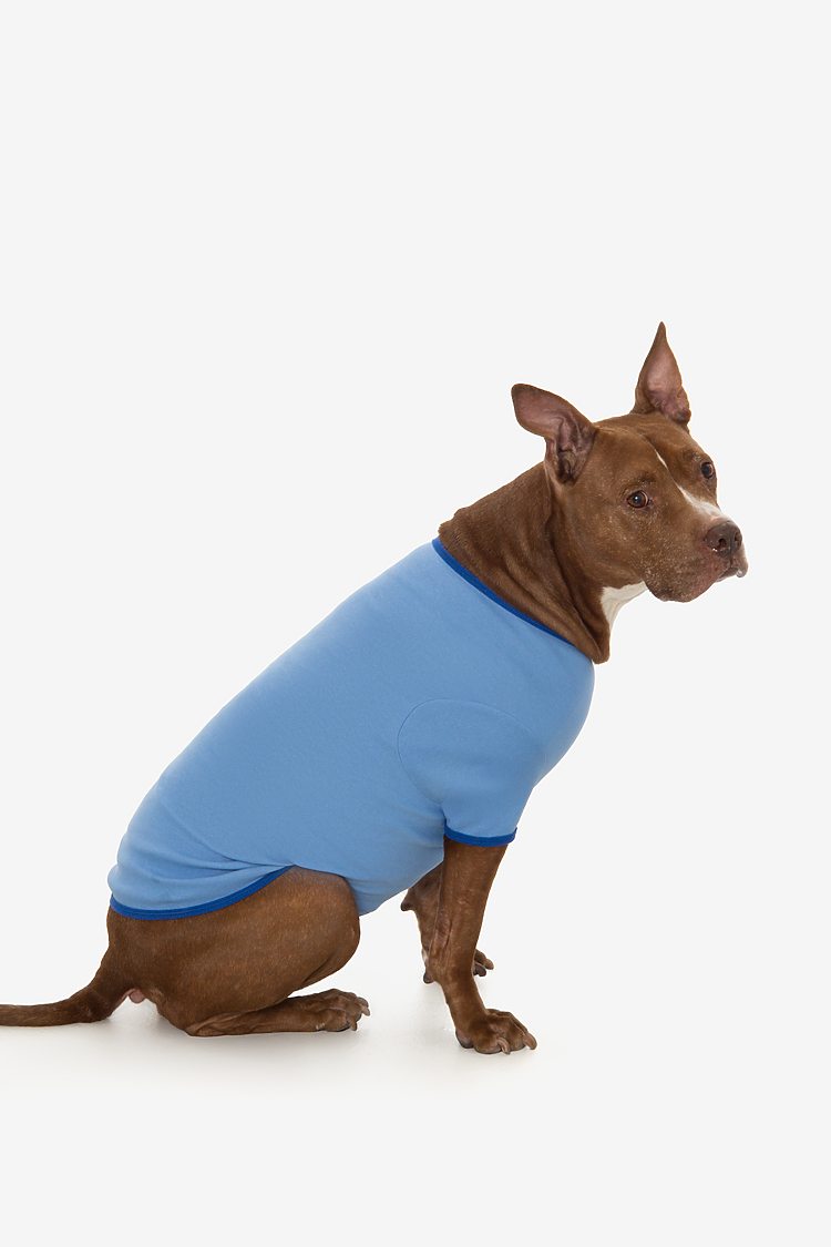 Baby Rib Dog T-shirt Carolina Blue/Royal