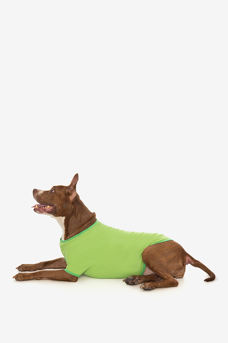 Baby Rib Dog T-shirt Jasmine Green/Grass