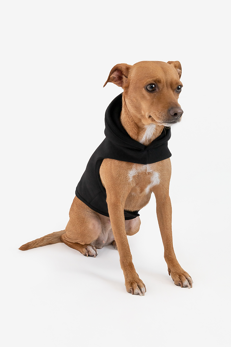 DOGSWEATER Black