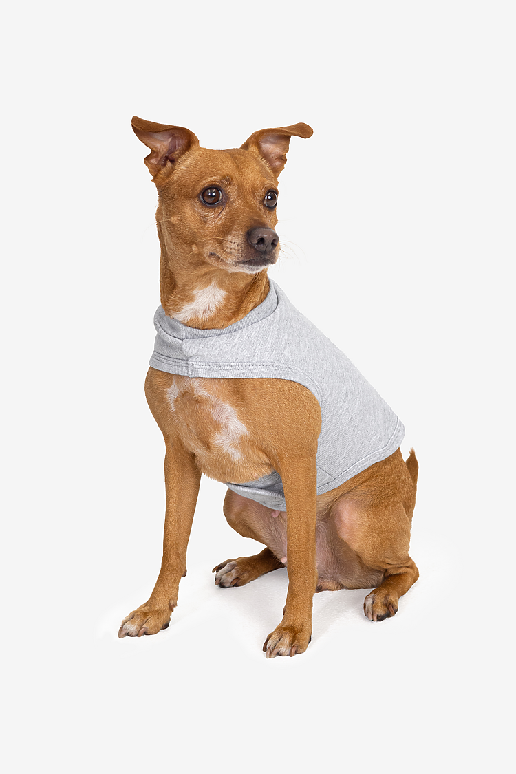 Heavy Fleece Fleece Dog Vest ASH