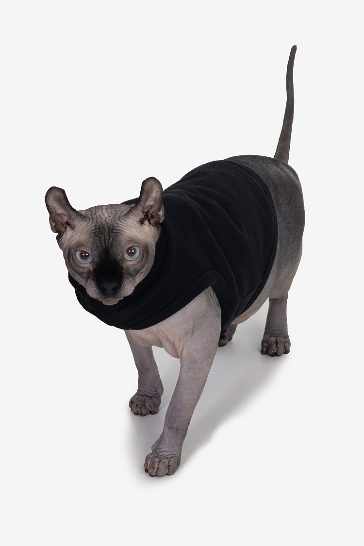 Heavy Fleece Fleece Dog Vest Black