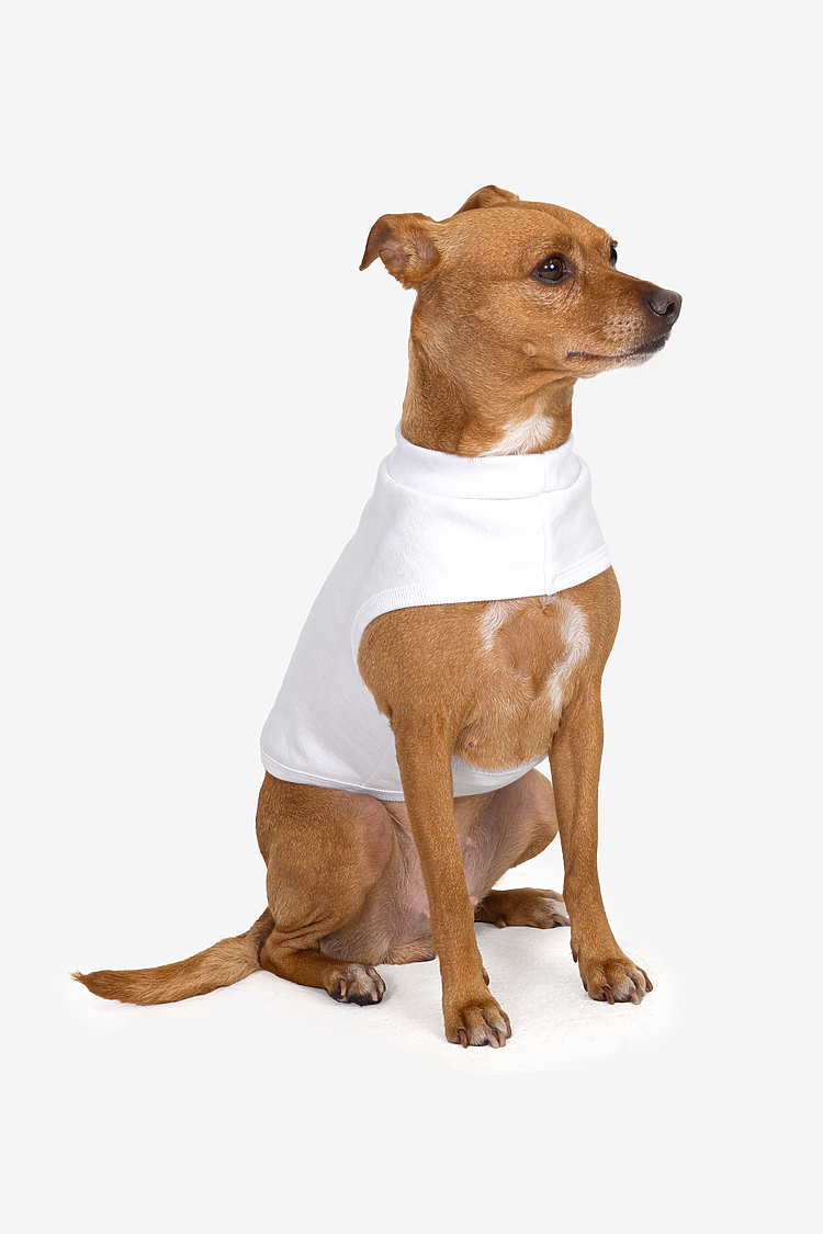 Heavy Fleece Fleece Dog Vest White
