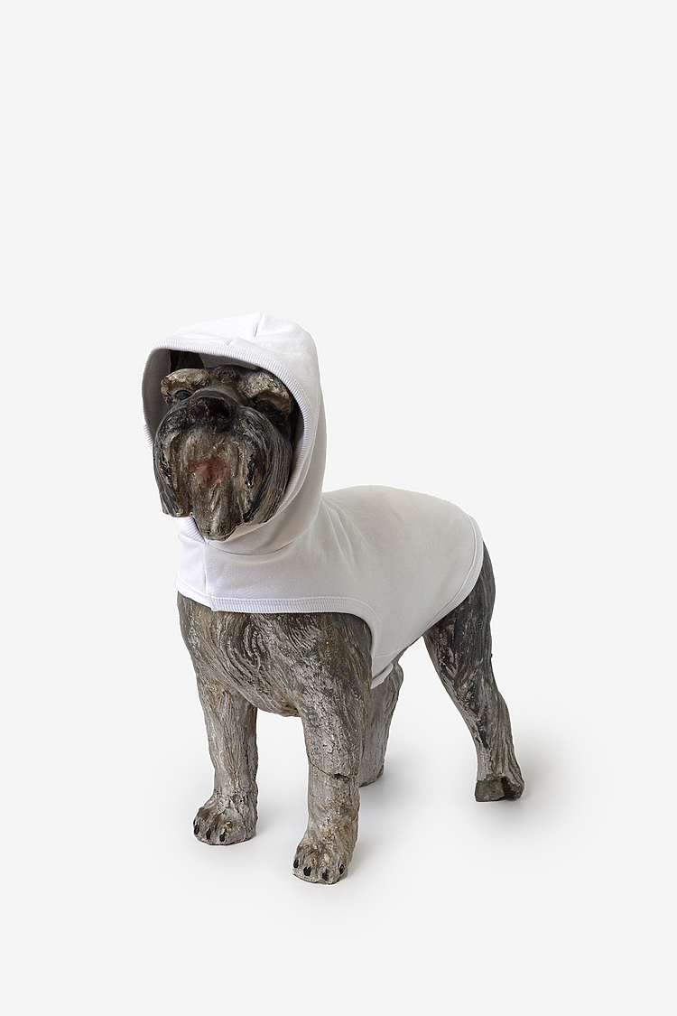 DOGSWEATER White