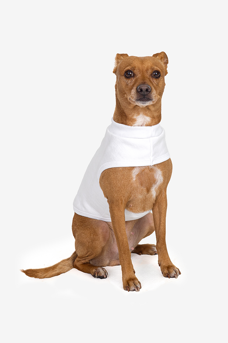 Heavy Fleece Fleece Dog Vest White